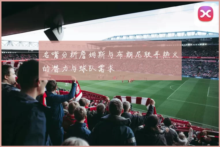 名嘴分析詹姆斯与布朗尼联手热火的潜力与球队需求