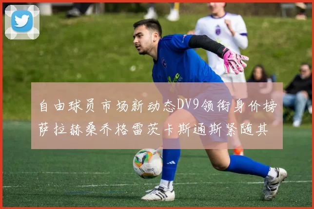 自由球员市场新动态DV9领衔身价榜萨拉赫桑乔格雷茨卡斯通斯紧随其后